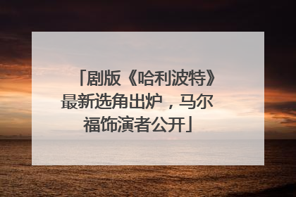 剧版《哈利波特》最新选角出炉，马尔福饰演者公开