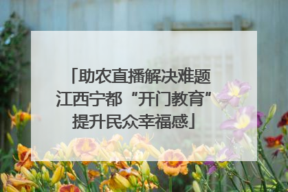 助农直播解决难题 江西宁都“开门教育”提升民众幸福感