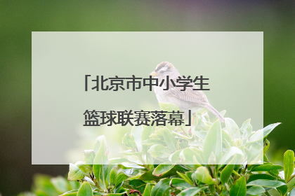 北京市中小学生篮球联赛落幕