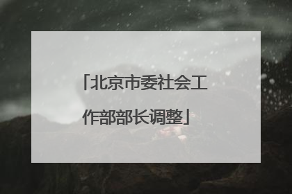 北京市委社会工作部部长调整