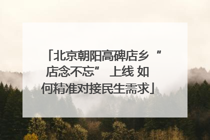 北京朝阳高碑店乡“店念不忘” 上线 如何精准对接民生需求