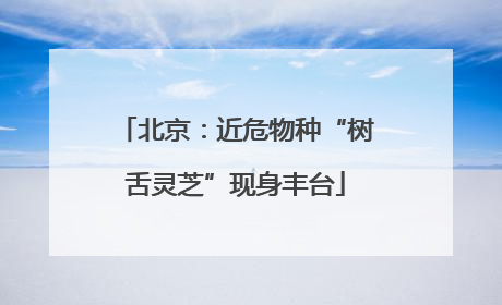 北京：近危物种“树舌灵芝”现身丰台