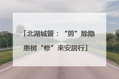北湖城管：“剪”除隐患树“修”来安居行