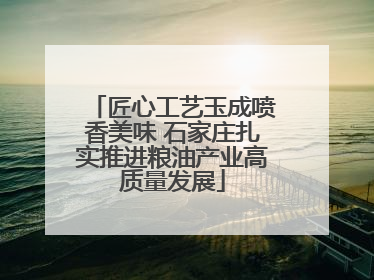 匠心工艺玉成喷香美味 石家庄扎实推进粮油产业高质量发展