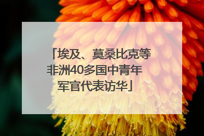 埃及、莫桑比克等非洲40多国中青年军官代表访华