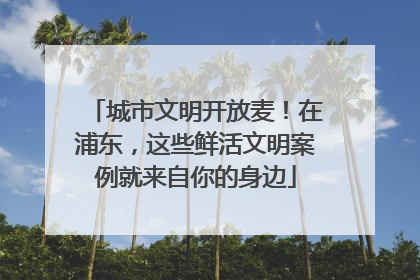 城市文明开放麦！在浦东，这些鲜活文明案例就来自你的身边
