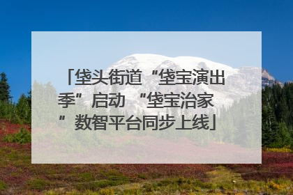垡头街道“垡宝演出季”启动 “垡宝治家”数智平台同步上线