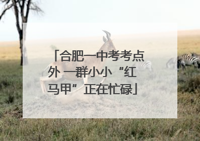 合肥一中考考点外 一群小小“红马甲”正在忙碌