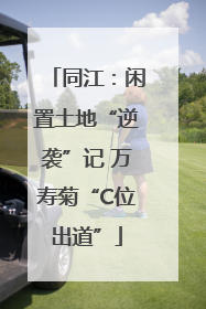 同江：闲置土地“逆袭”记 万寿菊“C位出道”
