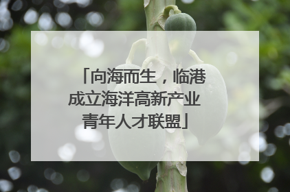 向海而生，临港成立海洋高新产业青年人才联盟