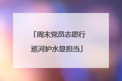 周末党员志愿行 巡河护水显担当