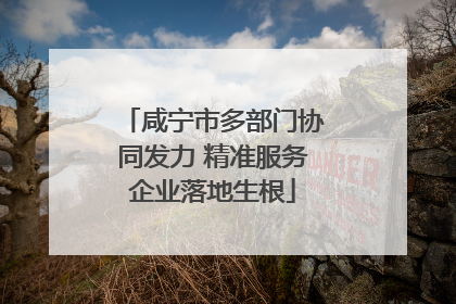 咸宁市多部门协同发力 精准服务企业落地生根