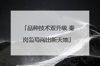 品种技术双升级 秦岗葡萄闯出新天地