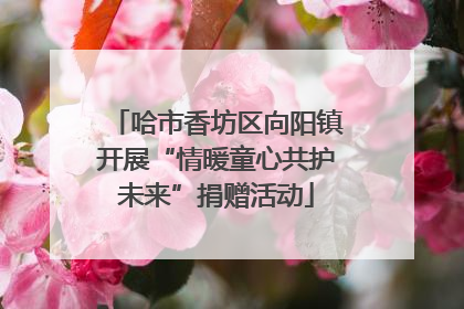 哈市香坊区向阳镇开展“情暖童心共护未来”捐赠活动