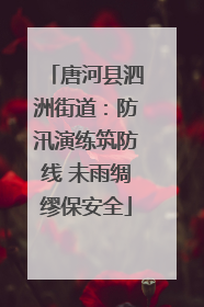 唐河县泗洲街道：防汛演练筑防线 未雨绸缪保安全
