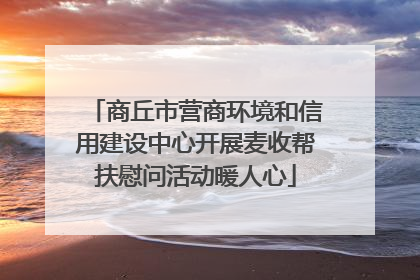 商丘市营商环境和信用建设中心开展麦收帮扶慰问活动暖人心
