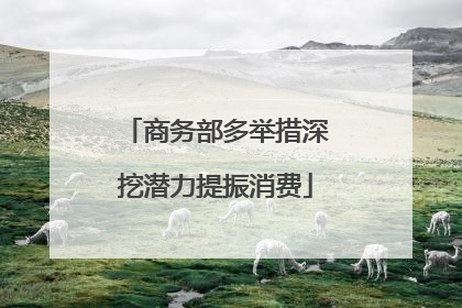 商务部多举措深挖潜力提振消费