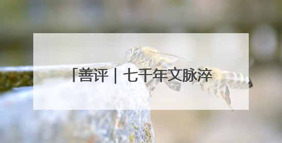 善评｜七千年文脉淬炼新时代“善城”