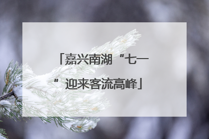 嘉兴南湖“七一”迎来客流高峰