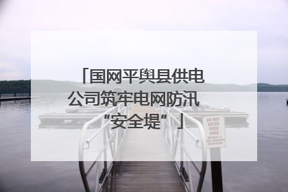 国网平舆县供电公司筑牢电网防汛“安全堤”