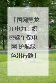 国网黑龙江电力：织密端午保电网 护航绿色出行路