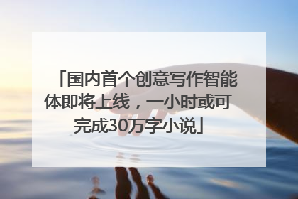 国内首个创意写作智能体即将上线，一小时或可完成30万字小说