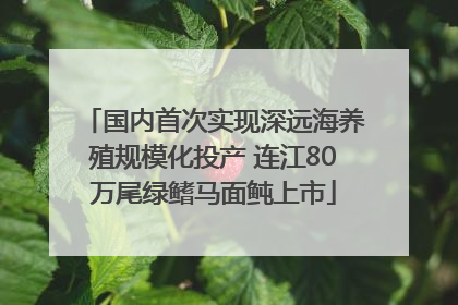 国内首次实现深远海养殖规模化投产 连江80万尾绿鳍马面鲀上市