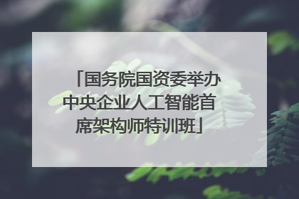 国务院国资委举办中央企业人工智能首席架构师特训班