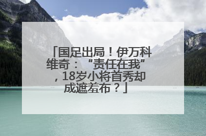 国足出局！伊万科维奇：“责任在我”，18岁小将首秀却成遮羞布？