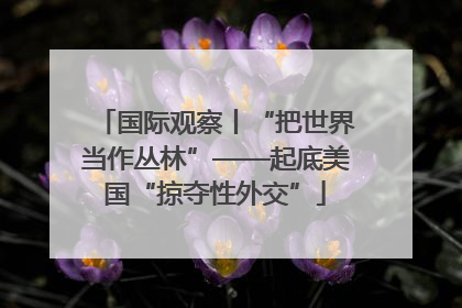 国际观察丨“把世界当作丛林”——起底美国“掠夺性外交”
