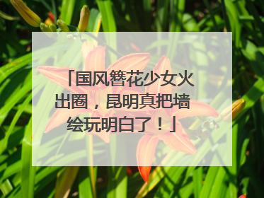 国风簪花少女火出圈，昆明真把墙绘玩明白了！