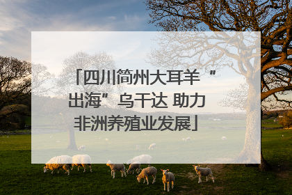 四川简州大耳羊“出海”乌干达 助力非洲养殖业发展