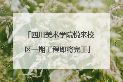 四川美术学院悦来校区一期工程即将完工