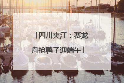 四川夹江：赛龙舟抢鸭子迎端午