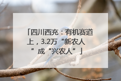 四川西充：有机赛道上，3.2万“新农人”成“兴农人”