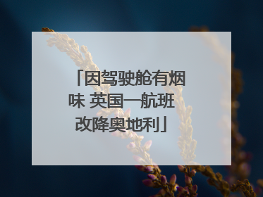 因驾驶舱有烟味 英国一航班改降奥地利