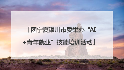 团宁夏银川市委举办“AI+青年就业”技能培训活动