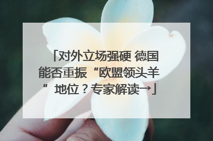 对外立场强硬 德国能否重振“欧盟领头羊”地位？专家解读→
