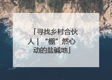 寻找乡村合伙人｜“棚”然心动的盐碱地