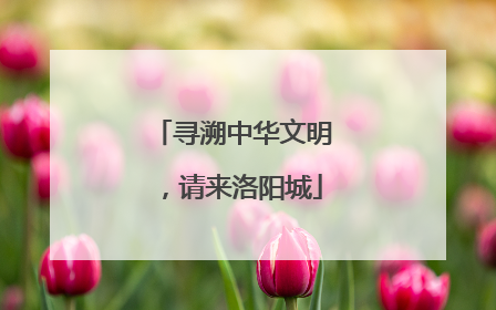 寻溯中华文明，请来洛阳城