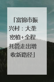 富锦市振兴村：大垄密植+全程托管走出增收新路径