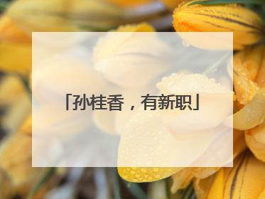 孙桂香，有新职