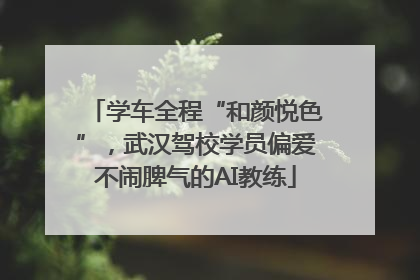 学车全程“和颜悦色”，武汉驾校学员偏爱不闹脾气的AI教练