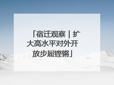 宿迁观察｜扩大高水平对外开放步履铿锵