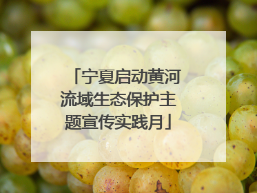 宁夏启动黄河流域生态保护主题宣传实践月