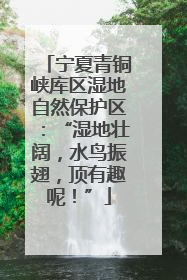 宁夏青铜峡库区湿地自然保护区：“湿地壮阔，水鸟振翅，顶有趣呢！”