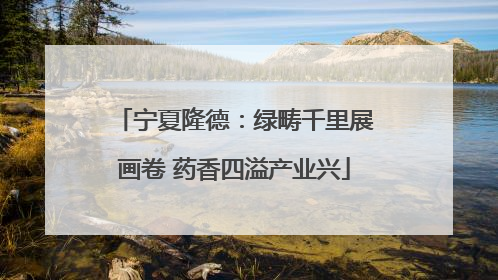 宁夏隆德：绿畴千里展画卷 药香四溢产业兴