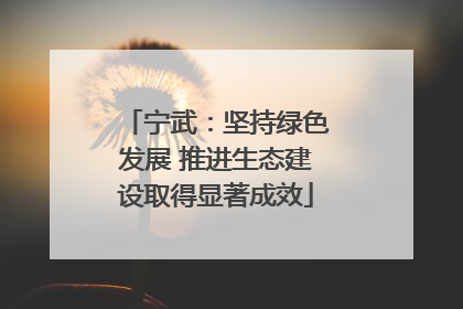 宁武：坚持绿色发展 推进生态建设取得显著成效