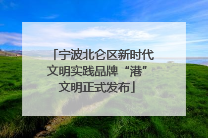 宁波北仑区新时代文明实践品牌“港”文明正式发布