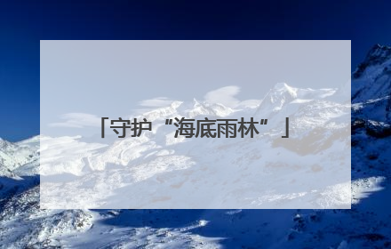守护“海底雨林”
